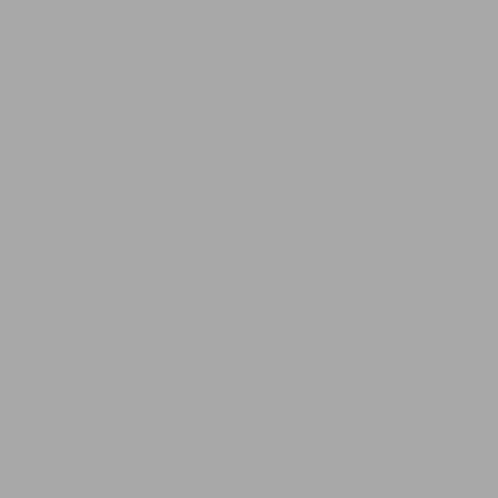 картинка Фон Colortone 2.75*11m TV Gray BDSV-2.75 №61 от магазина Ultra-mart