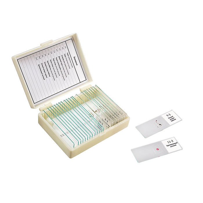 картинка Микропрепараты для школы Зоология Микромед (11 обр.) от магазина Ultra-mart