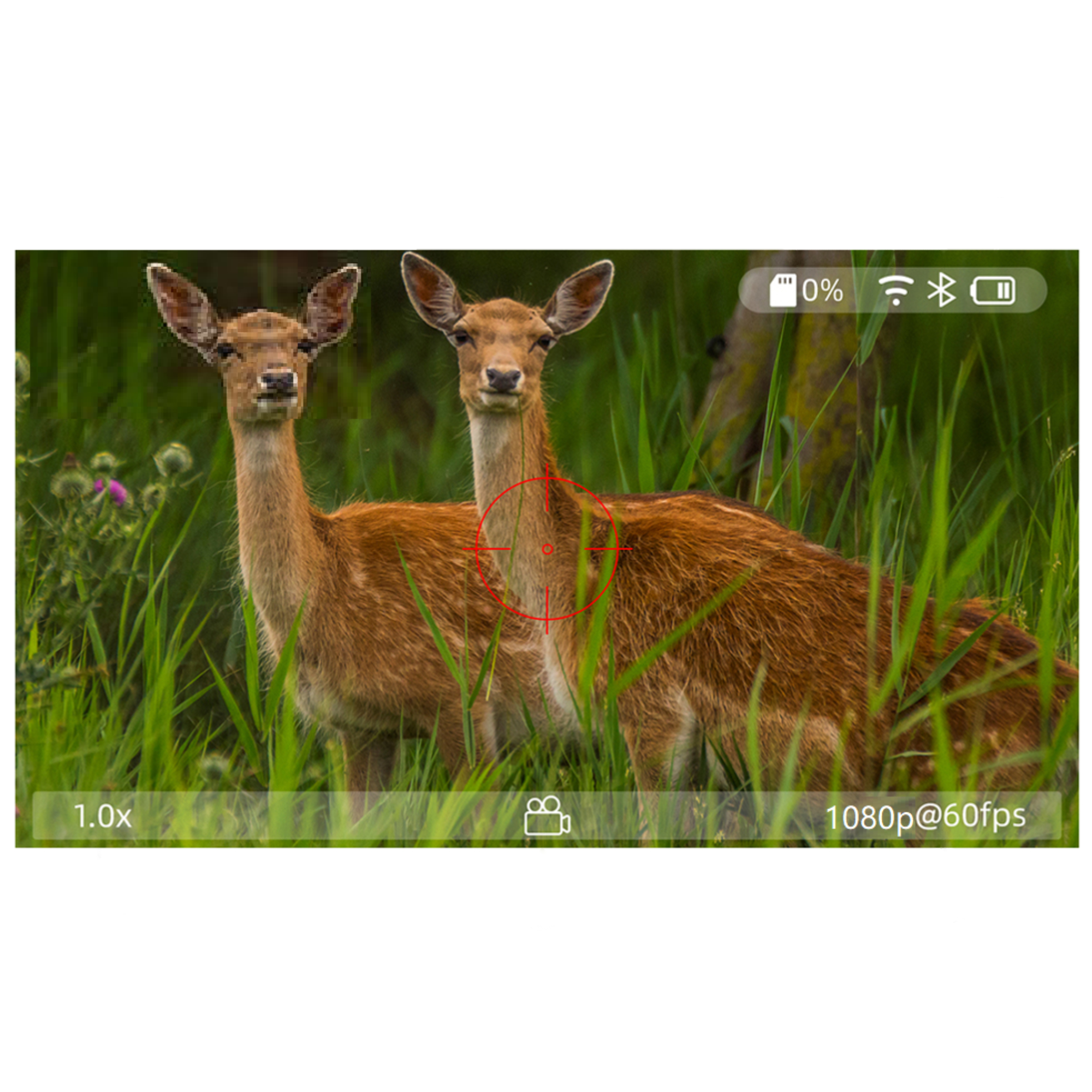 картинка Прицел цифровой Veber DigitalHunt R44X6-48 LRF с лазерным дальномером арт. 31885 от магазина Ultra-mart