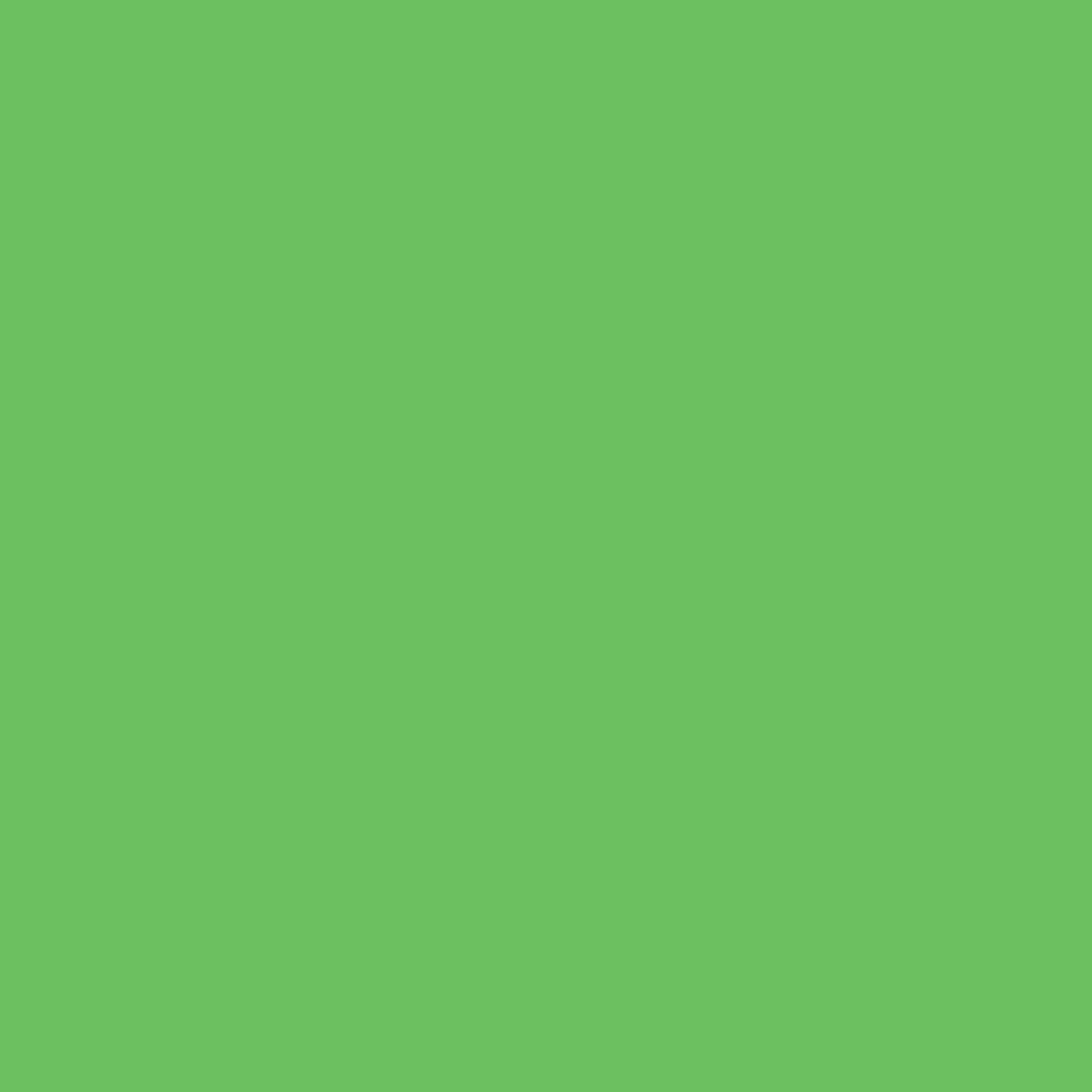   Colortone 2.75*11m Tech Green BDSV-2.75 46   Ultra-mart