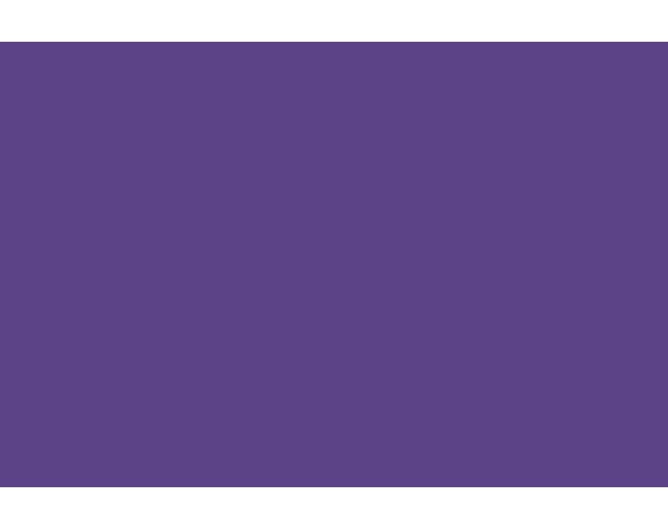 картинка Фон бумажный Polaroid Purple Фиолетовый 2,72*11 м от магазина Ultra-mart