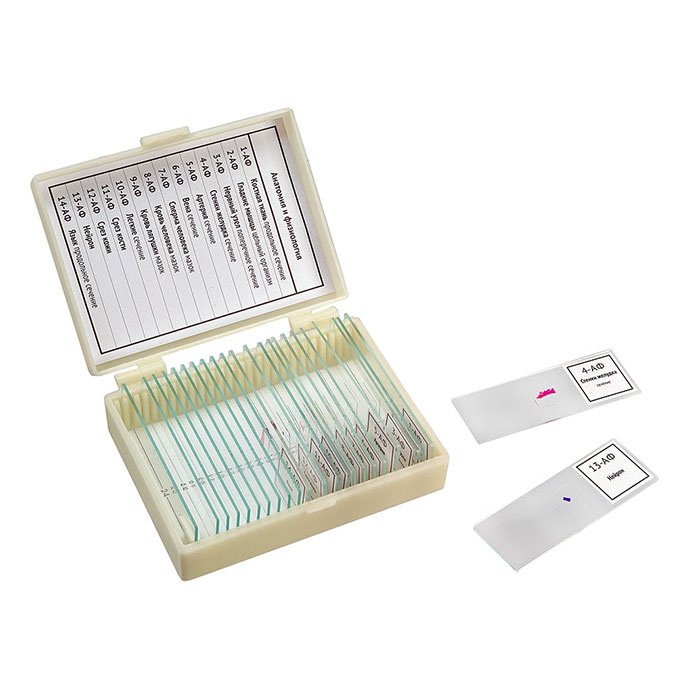 картинка Микропрепараты Анатомия и Физиология Микромед, (14 обр.) от магазина Ultra-mart