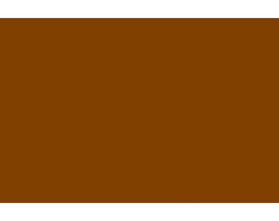 Фон бумажный Polaroid Brown Коричневый 2.72x11 м